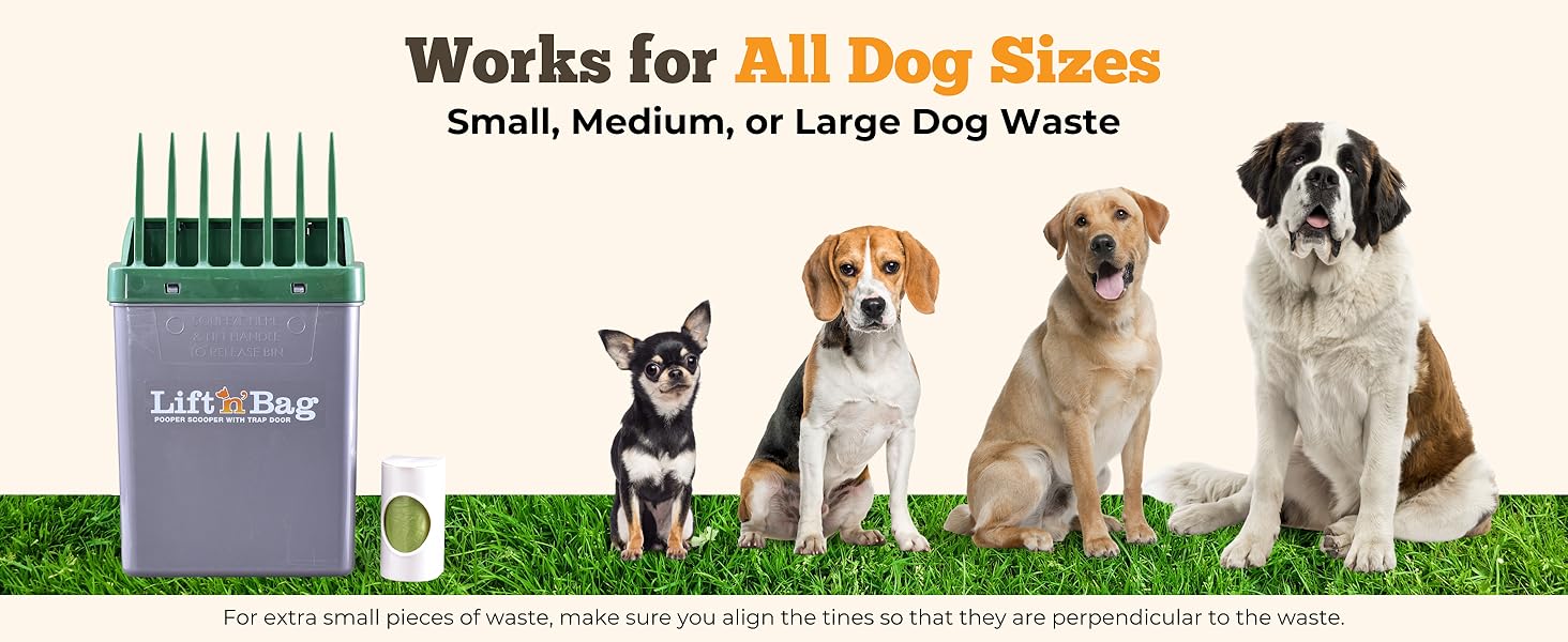 Lift N Bag Works for All Size Dog Poop, Green/Grey