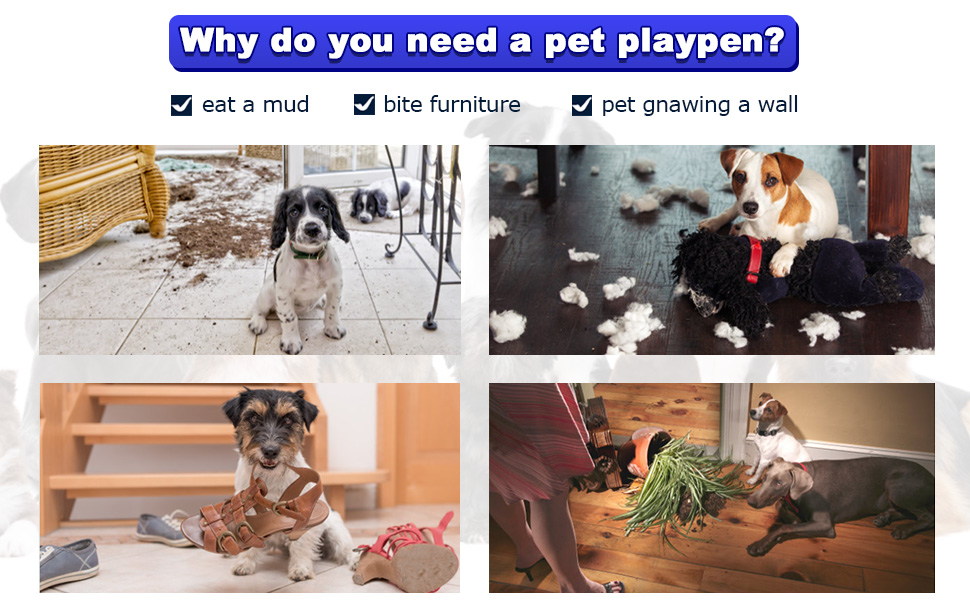 dog playpen