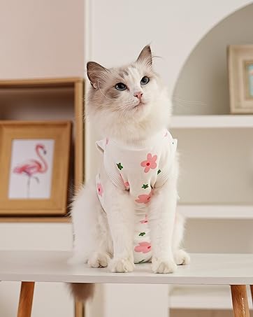 Cat Surgery Recovery Suit