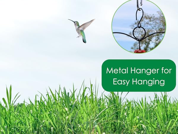 Humming bird様 リクエスト 5点 まとめ商品 Amazon.com : Songbird Essentials Hummingbird Swing - Tweet