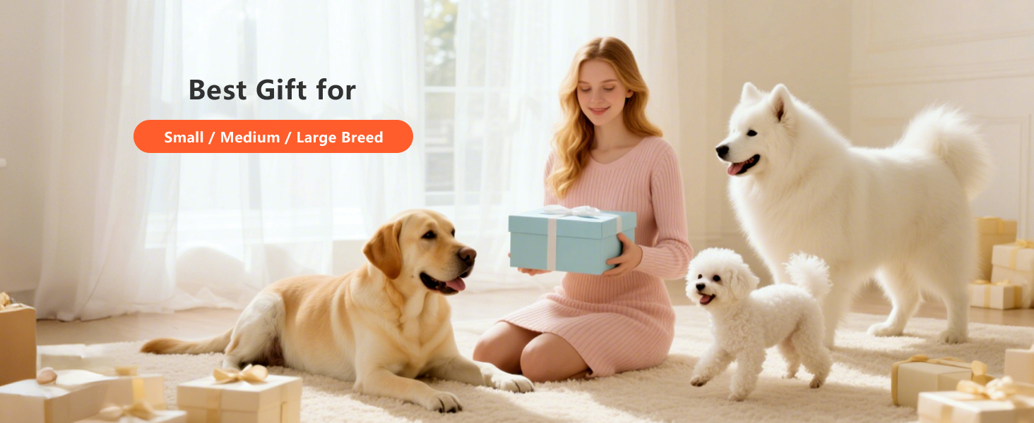 dog toys to keep them busy