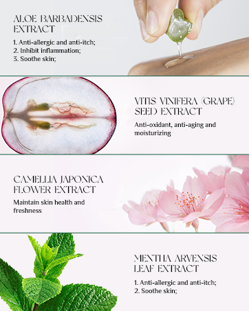 TUDPA Brand Backgroud