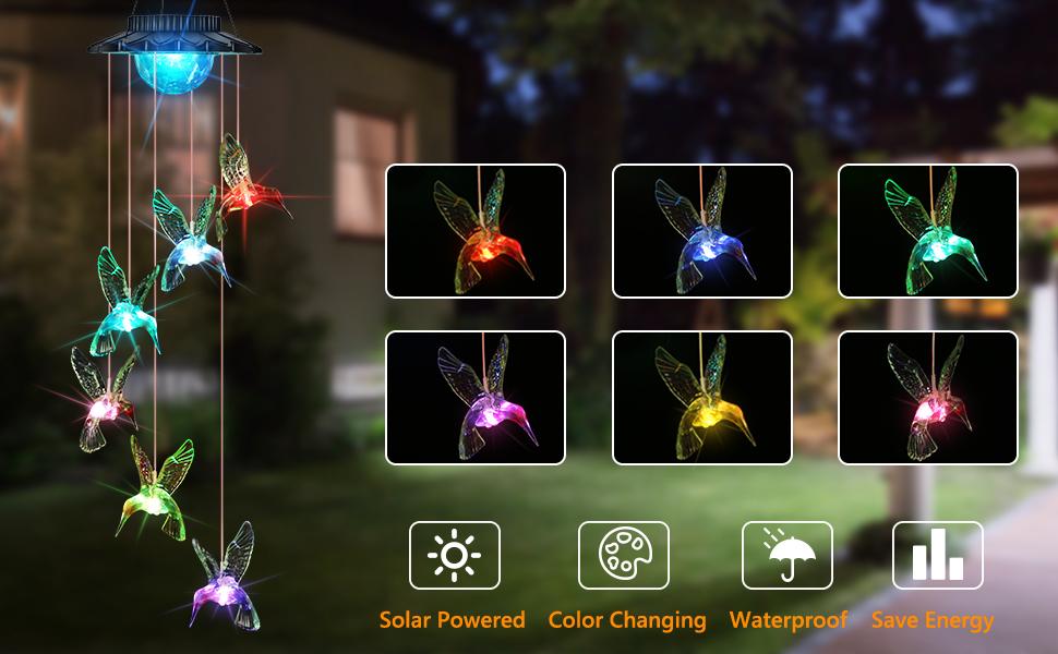 solar hummingbird string lights