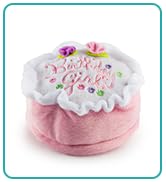 birthday dog toy