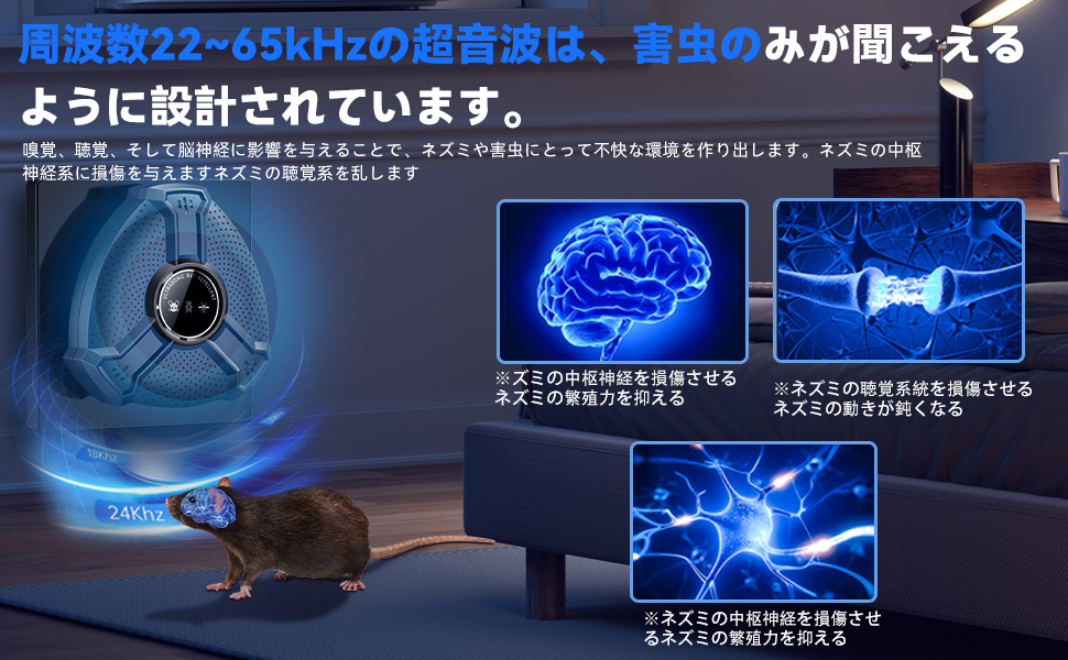 ヤマネ@さん専用 10/25使用 アニメジャスミン Prime Video: Shenmue the Animation: Season 1