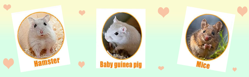 Wooden Guinea Pig House