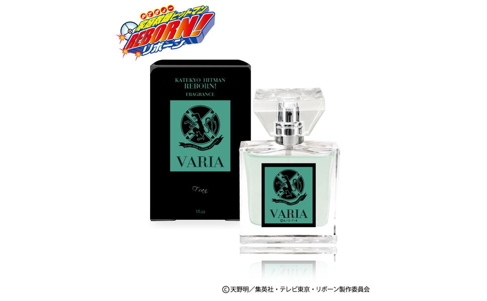 Amazon.co.jp: primaniacs（プリマニアックス） 家庭教師