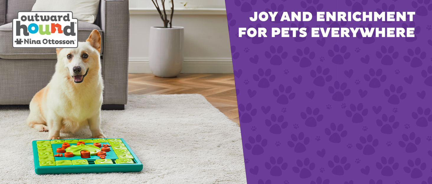 Outward Hound Nina Ottosson Puppy Lickin' Layers... 24 pet joy and enrichment for dogs of all ages sizes and breeds