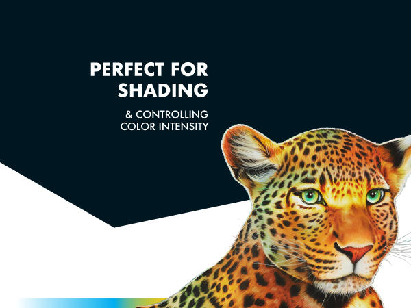 shade shading perfect cheetah leopard animals portrait coloring activity kids adult summer fun art