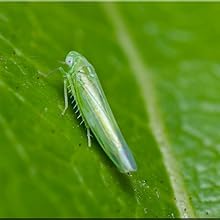 Small manufacture image 6