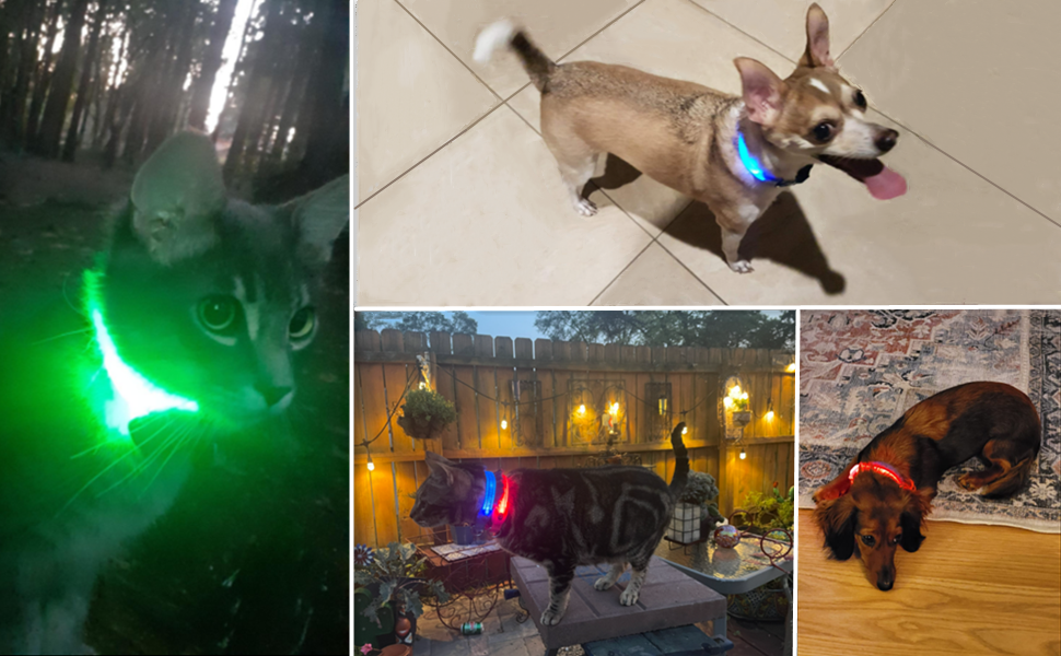DOMIGLOW Lighted Dog Collars Rechargeable LED Dog Collar
