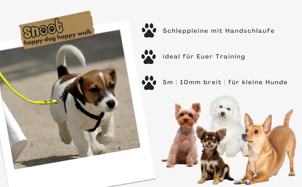 Snoot Schleppleine Training 5m gelb kleine Hunde wetterfest robust 