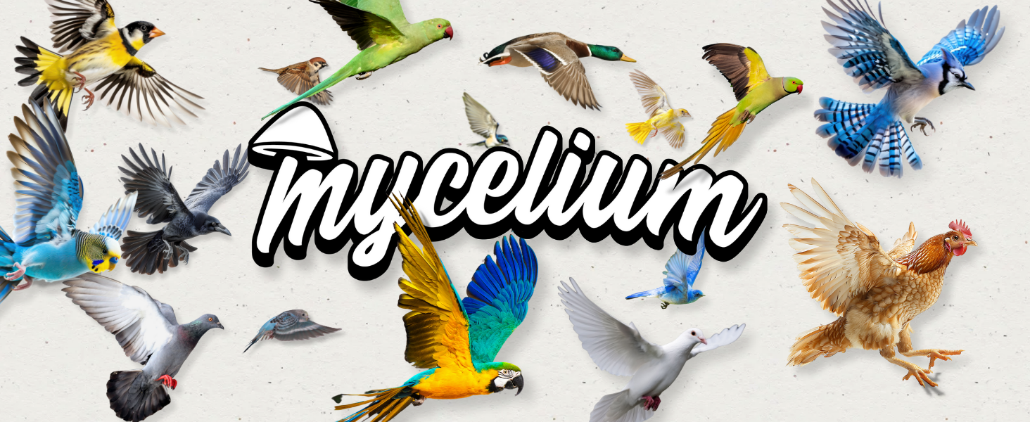 Cockatiel Feed - Pet Bird Seed, Parrotlet Food