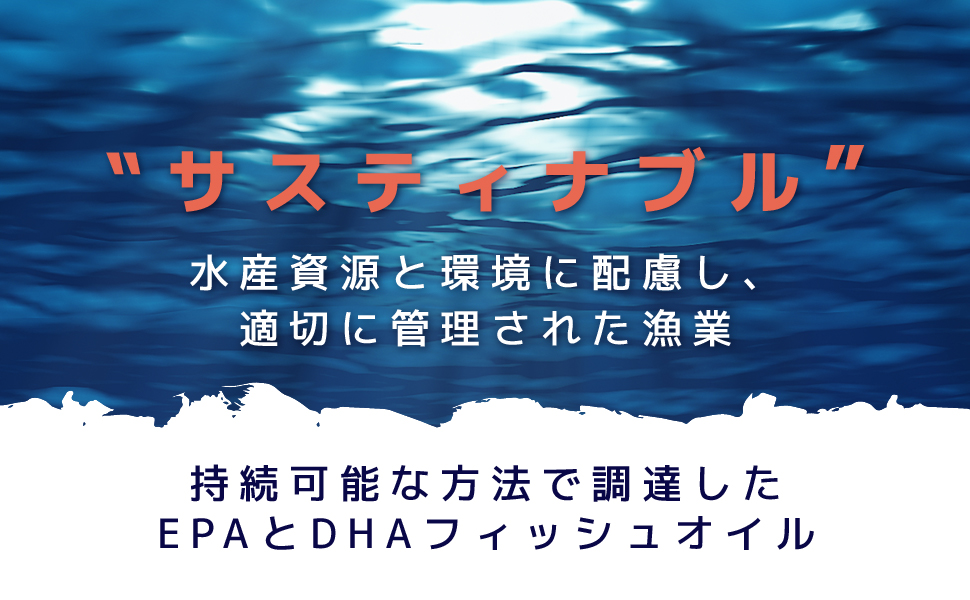 Amazon AAVALABS DHA EPA サプリメント 120粒 60日間分 1000mg フィッシュオイル オメガ3 サプリ