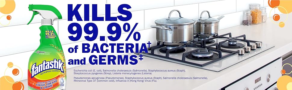 Fantastik All Purpose Cleaner