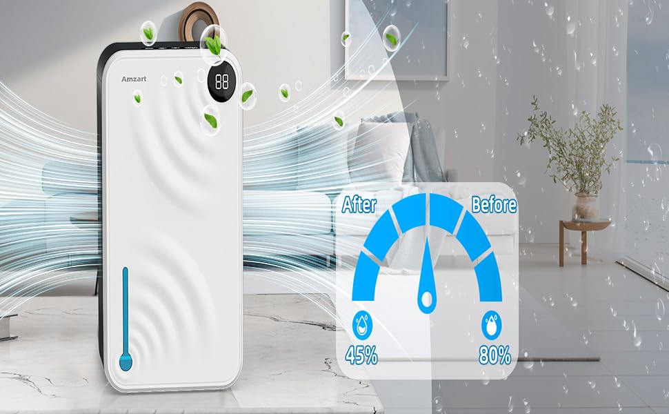 Dehumidifiers for Home