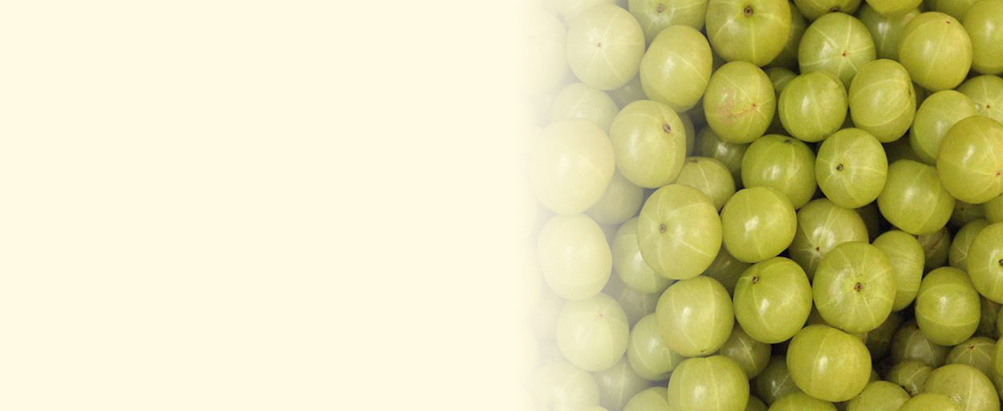 PURE VITAMIN C FROM INDIAN GOOSEBERRY