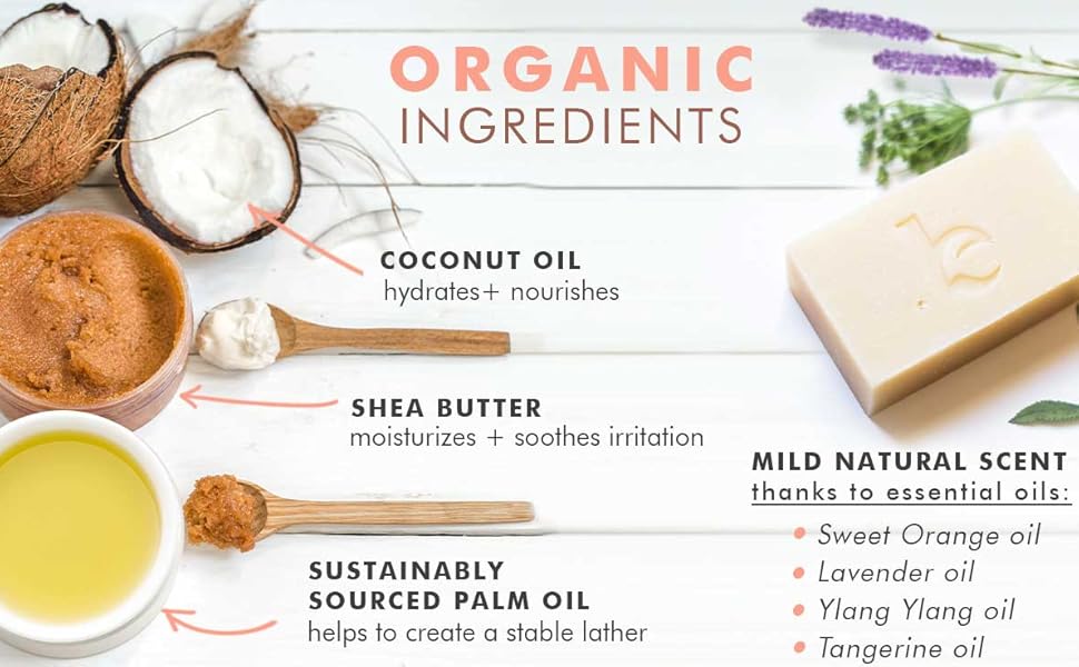 face cleanser mens wash antibacterial soap organic for oily skin charcoal bar acne vegan body care