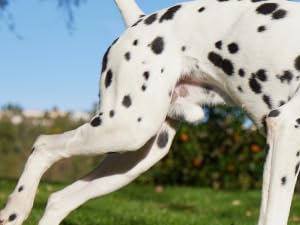 Small manufacture image 7