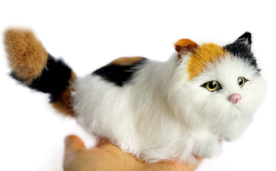 Large manufacture image 5