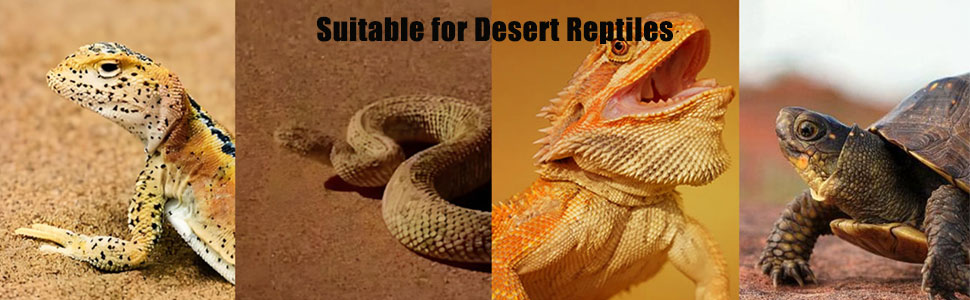 T5 UVB Reptile Light Fixture Combo Kit