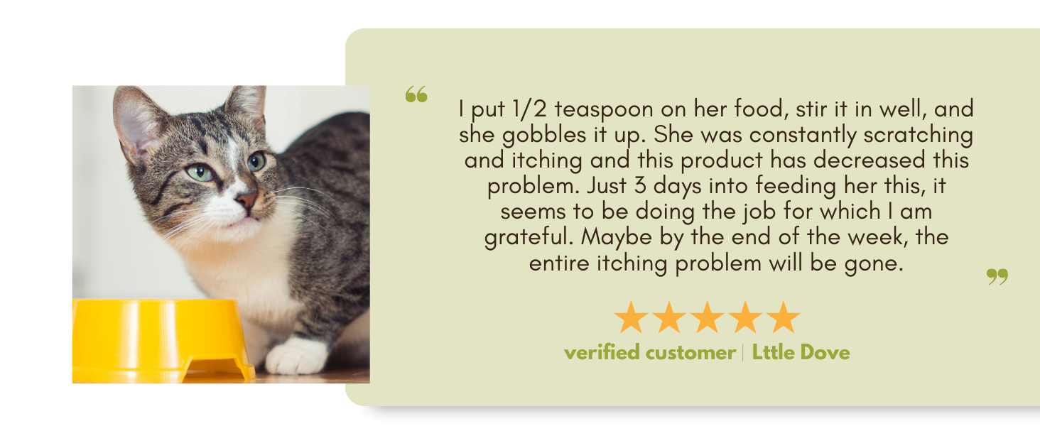 probiotics for cats cat supplements & vitamins cat multivitamin multivitamin for cats digestive