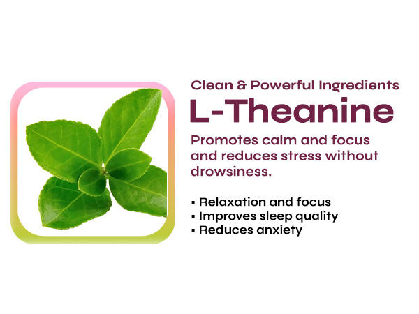 l theanine super calm sugar free stress relief mood support supplement