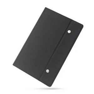 Portable Screen with Holster