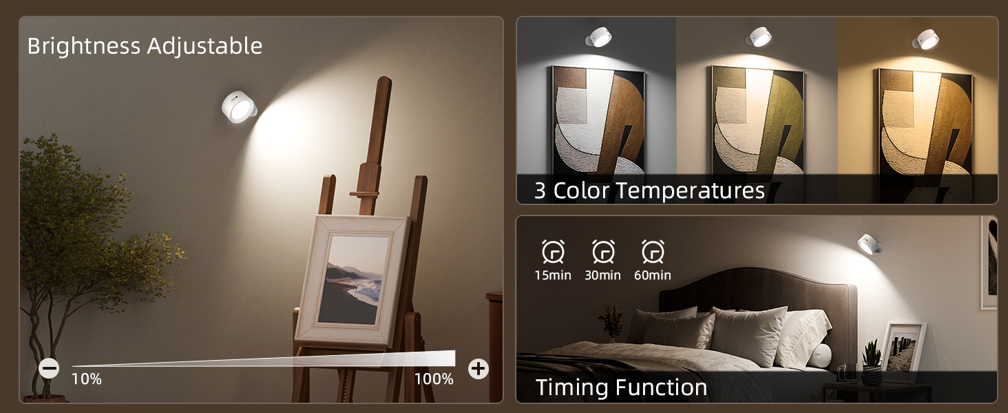 LED Wall Mounted Lights