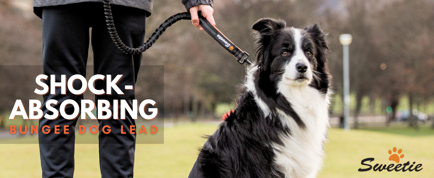 anti shock dog lead dog anti pull lead dog lead for large dogs bungee dog leads for large dogs