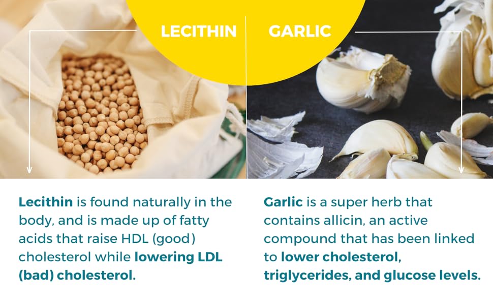 Cholestone Cholesterol Lowering Supplement Plant Sterols Lecithin