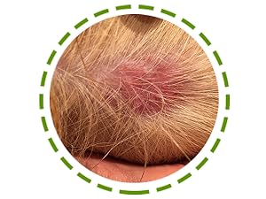 allergy medicine for dogs