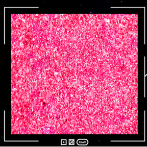 Small manufacture image 7