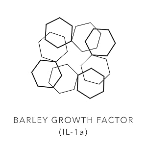 Growth Factor (IL-1A) Image
