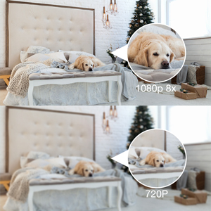 1080P High Quality Video