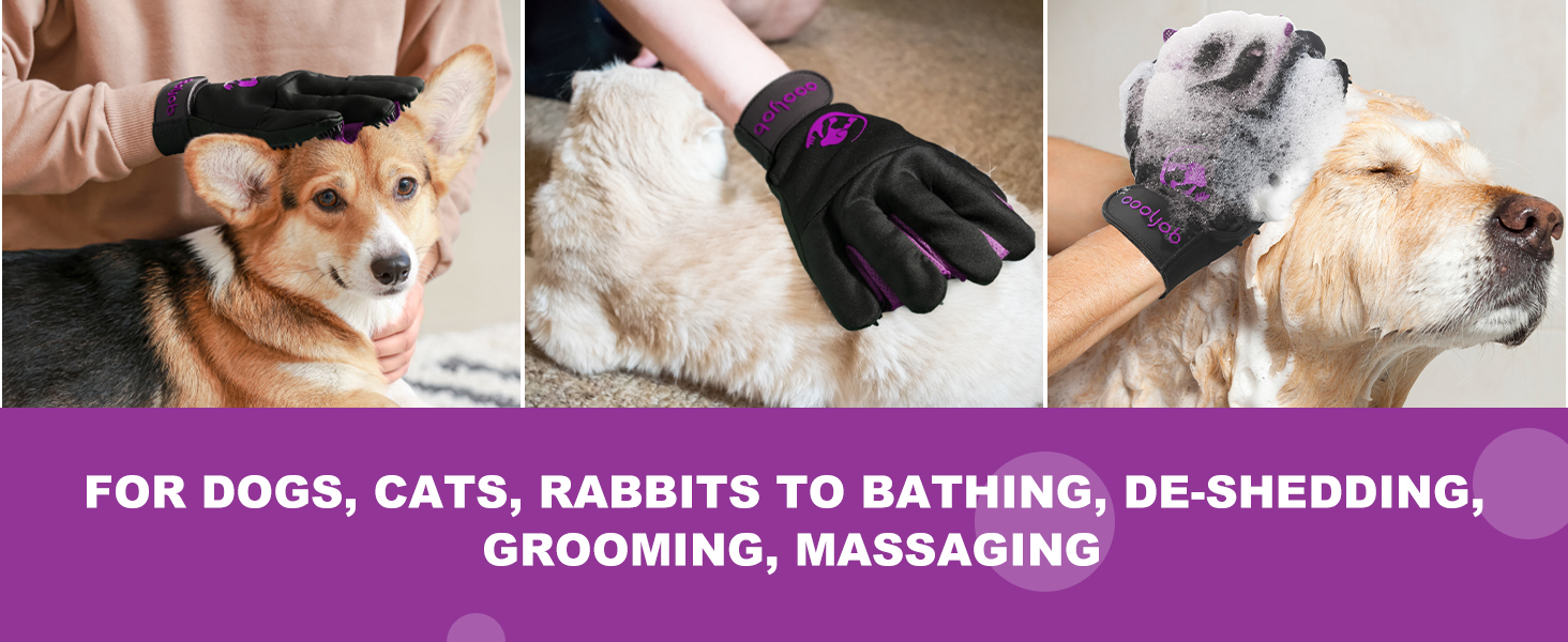 Grooming Gloves