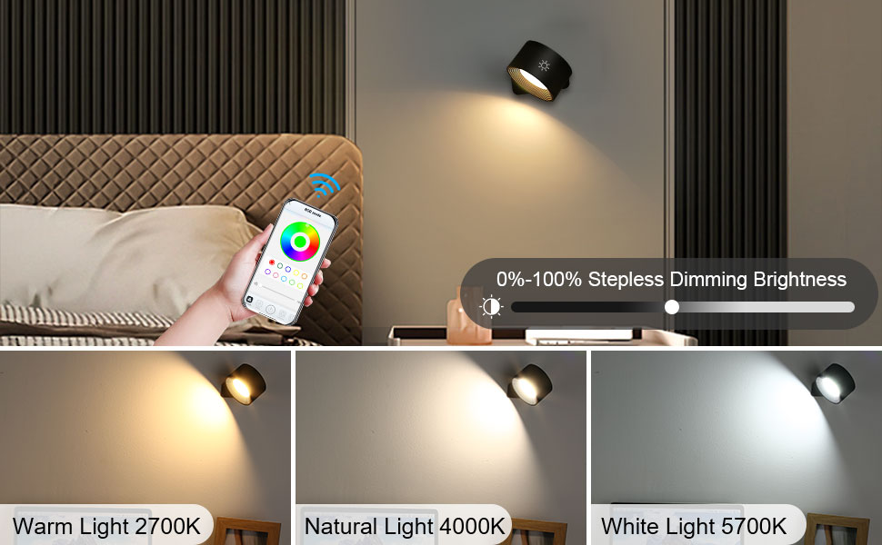 color wall lights