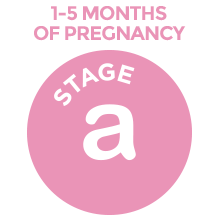 pregnancy stretchmarks supple skin leska lotion stretch mark