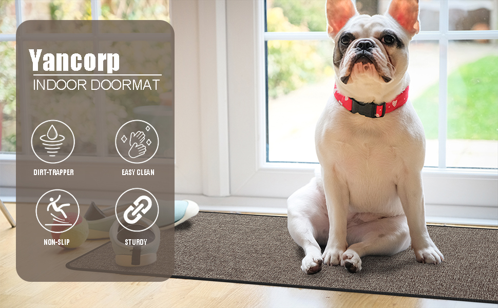 Yancorp Front Door Mat 1/10 Inch Thin Door Mat for Inside