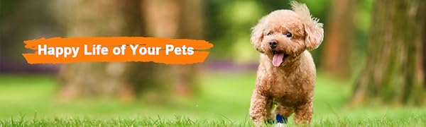 camping, park, yard, garden and other outdoor activities