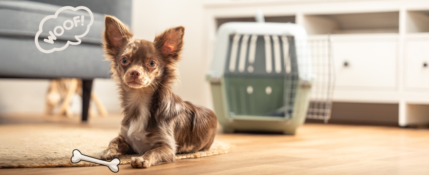 Transportbox für Hunde