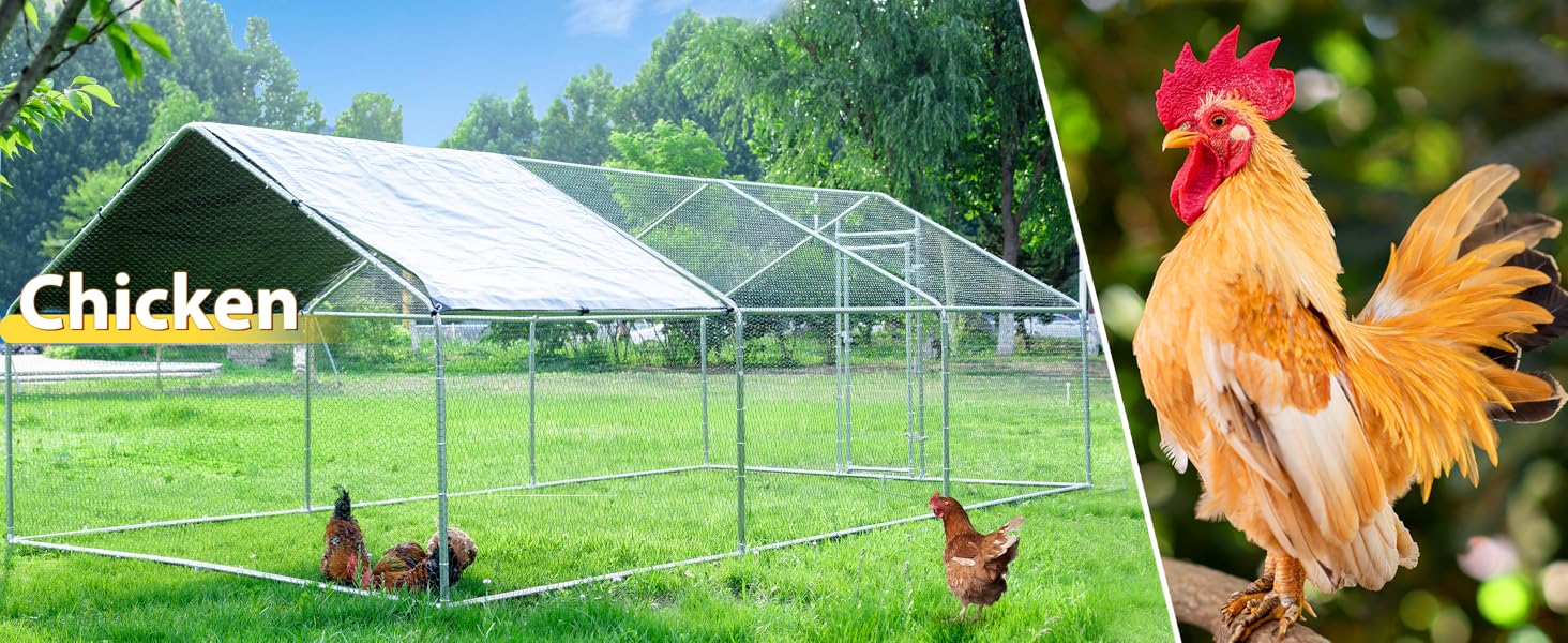 19.2Lx9.84Wx6.6H FT Large Metal Chicken Coops for 8/10/16