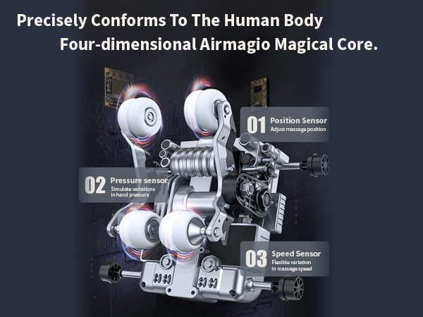 ANATOMY FOR BEGINNERS 4枚セット Ear, 3 times life size, 4 parts - EZ Augmented Anatomy | E210