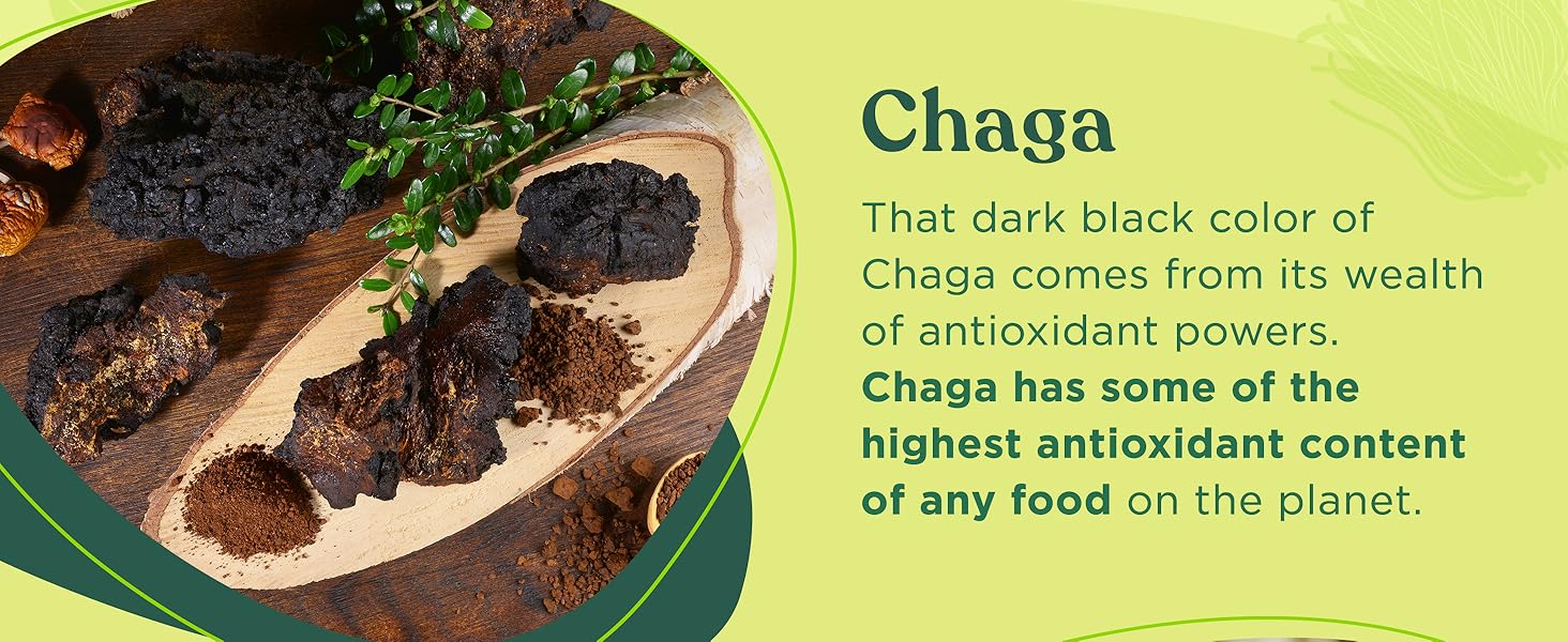 Chaga has some of the highest antioxidant content of any food on the planet.