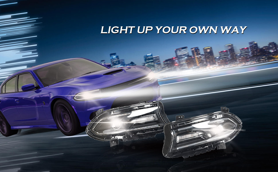 Partzer Headlights Assembly Pair HID Headlight Housing