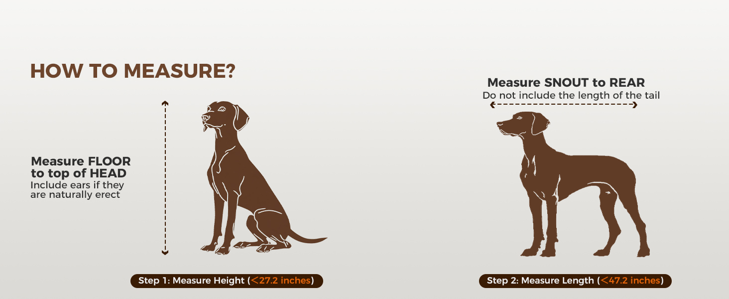 How to measure