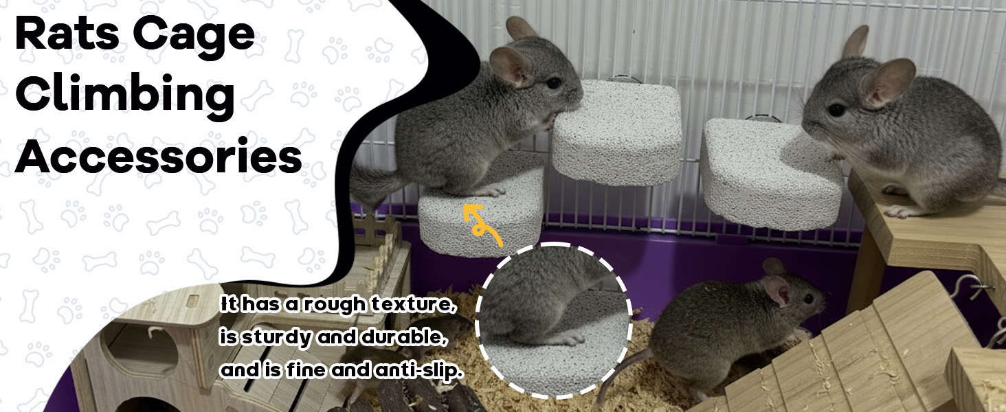 lava ledge for chinchillas