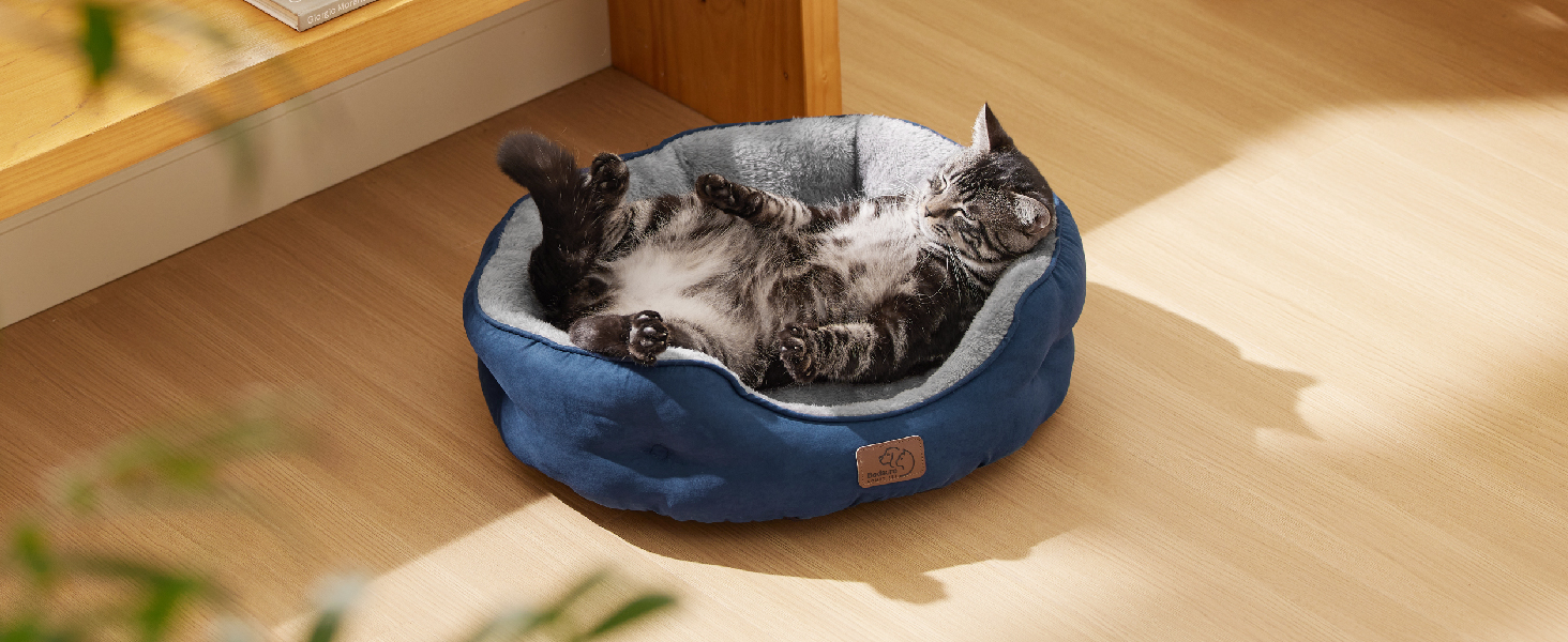 Rundes blaues Haustierbett mit einer grauen Tabbykatze, die drinnen auf Holzboden schläft