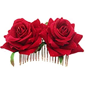 Braut Hochzeit Haarschmuck