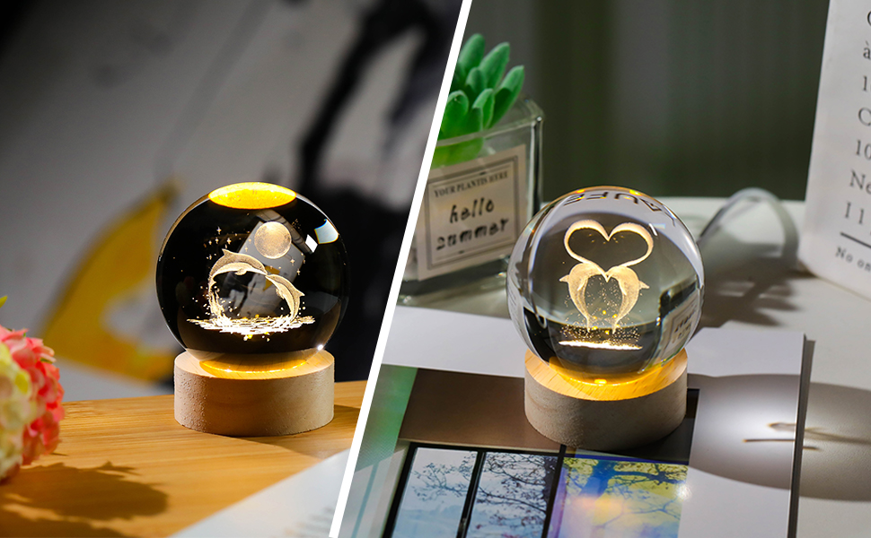 Dolphin Crystal Ball